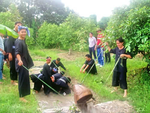 Du lịch Miền Tây dạo vườn Vinh Sang, vĩnh Long