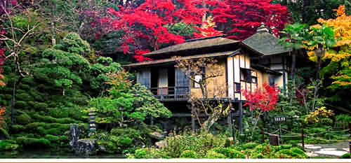 Du lịch Nhật Bản mùa lá đỏ 2014