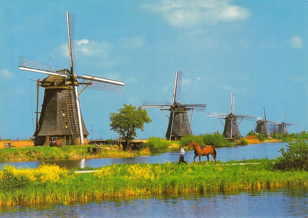 Bí mật thú vị về cối xay gió Hà Lan khiến nhiều người bất ngờ