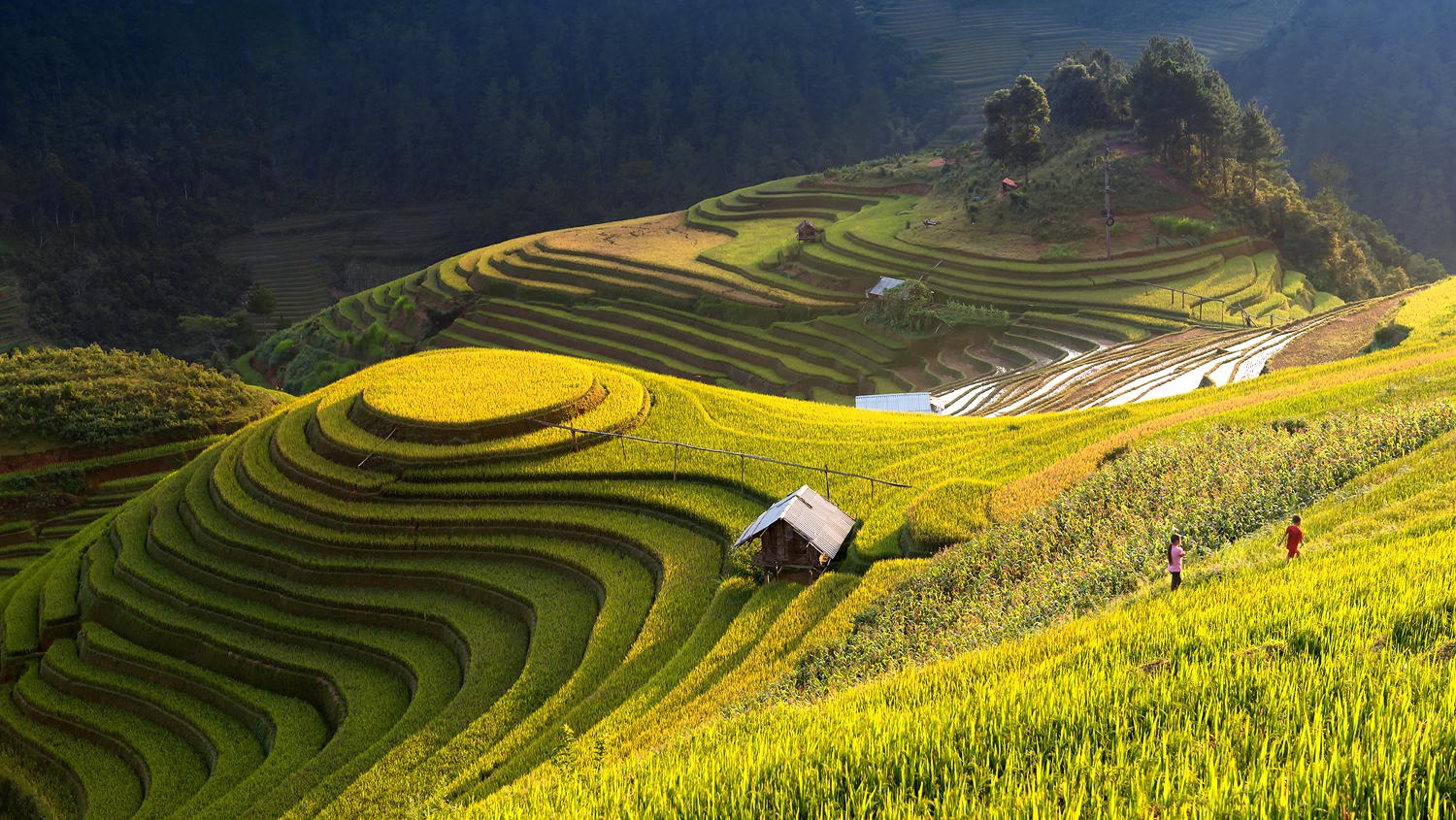 Tết Dương Lịch - Cung Đường Đông Bắc