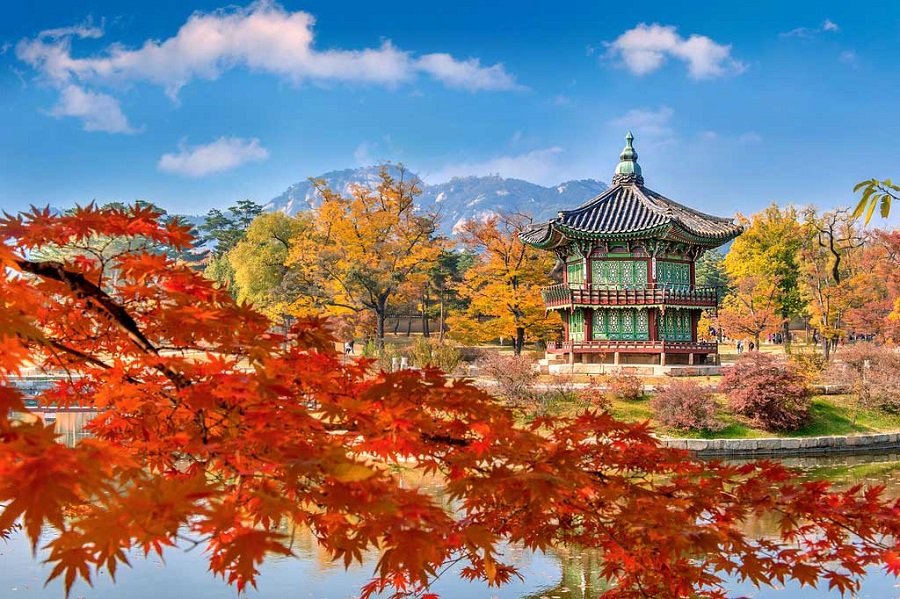 Tour Hàn Quốc Miễn Visa: Yang Yang - Seoraksan - Seoul - Nami