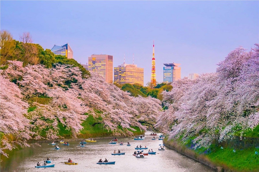 Tour du lịch Nhật Bản tại Top Ten Travel
