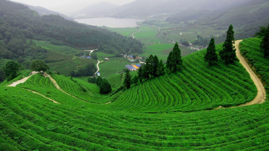 10+ địa điểm Bạn nên ghé thăm tại Trung Quốc