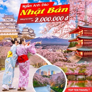 Tour Nhật Bản Cung Đường Vàng Mùa Hoa Anh Đào (Tokyo - Kawazu - Yamanashi - Nagoya - Kyoto - Osaka) | 6N5D