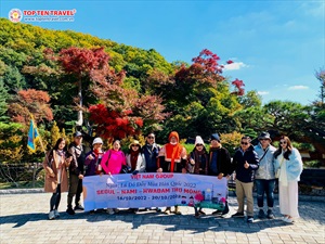 Tour Hàn Quốc Ngắm Hoa Anh Đào: Seoul - Everland - NamSan | 5N4D